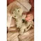 Дитяче брязкальце LIEWOOD PLUSH RATTLE ROMAIN CROCODILE FAUNE GREEN