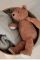 Дитяча мʼяка іграшкаLIEWOOD Bear Mini Tuscany Rose